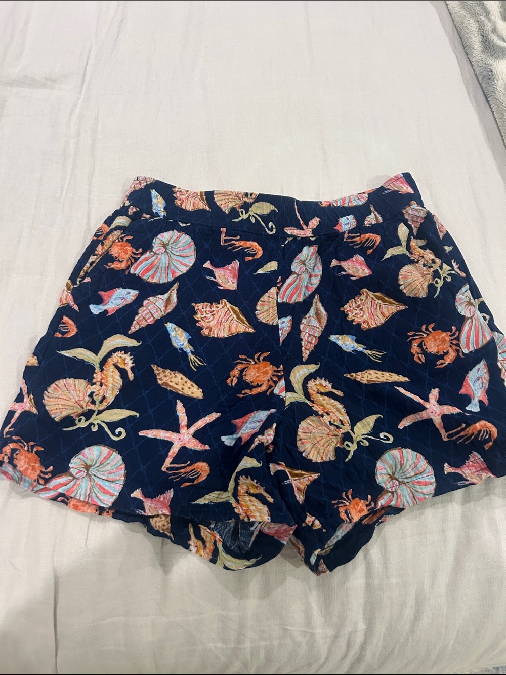 Talbots Navy Seashell & Marine Print  Shorts